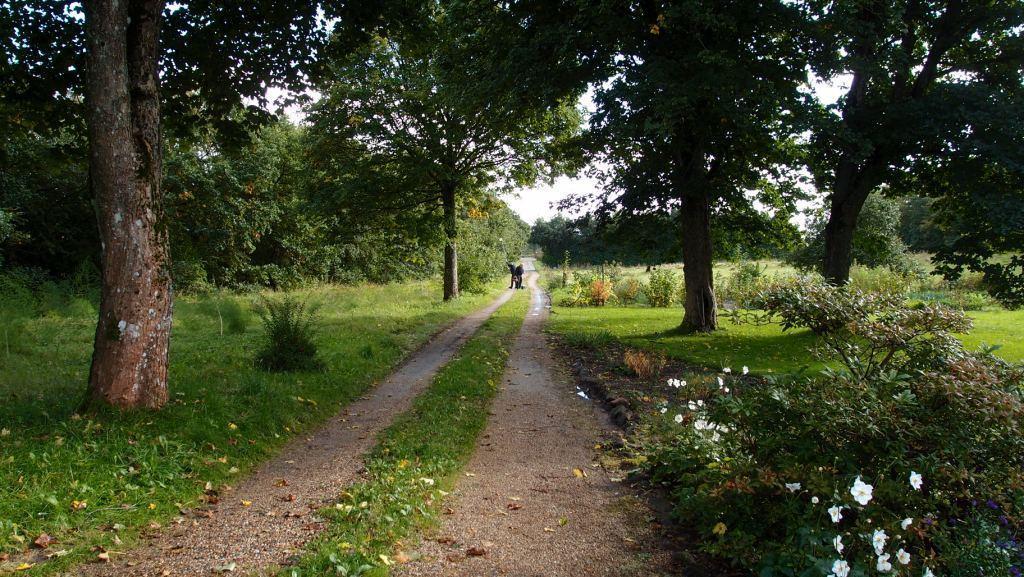 Bjaeldskovgaard Holiday House Funder Kirkeby Rum bild
