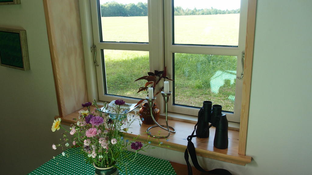 Bjaeldskovgaard Holiday House Funder Kirkeby Rum bild